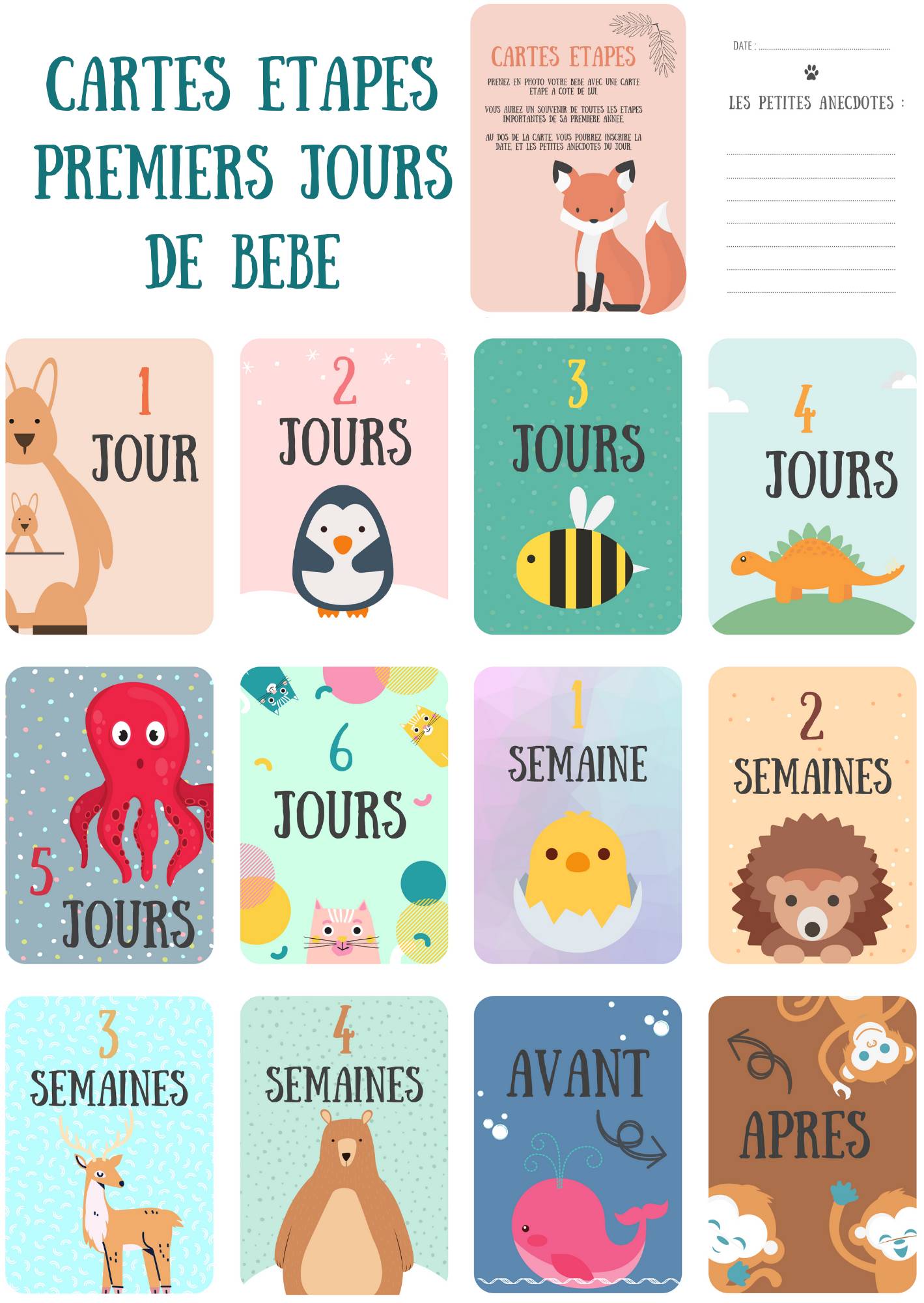 Lot De 12 Cartes Etapes Pour Immortaliser Les Premieres Semaines De Bebe