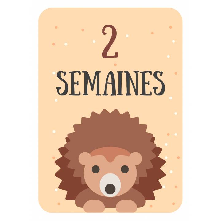 Lot De 12 Cartes étapes Pour Immortaliser Les Premières Semaines De Bébé 