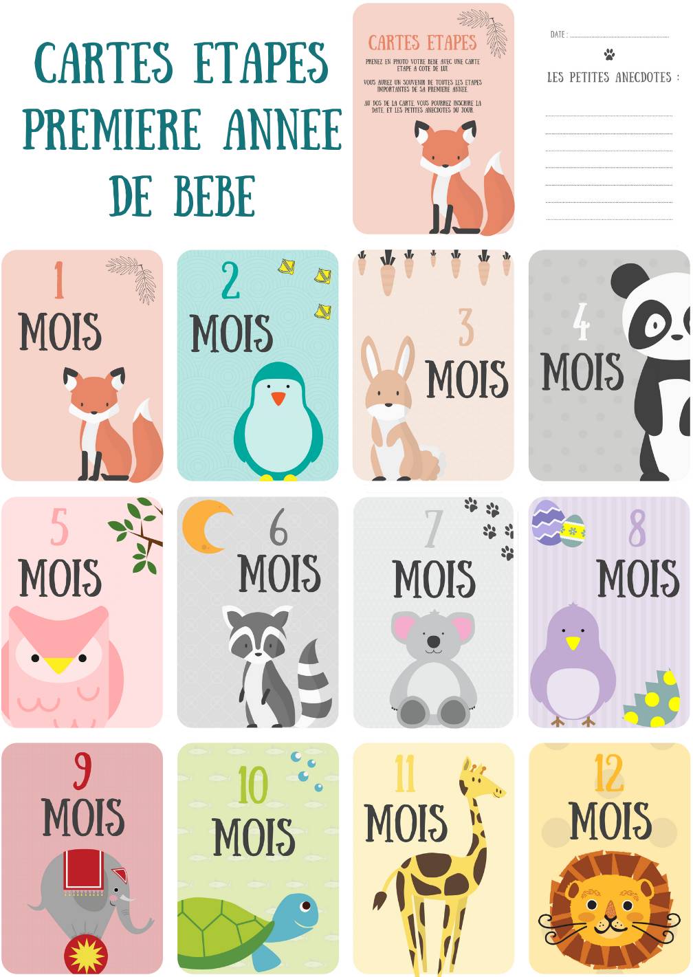 Lot De 12 Cartes Etapes Pour Immortaliser Les Premiers Mois De Bebe