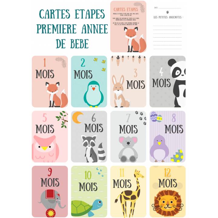 Kit cartes étapes bébé Jungle, animaux Première année bébé Photos premiers  mois bébé -  France